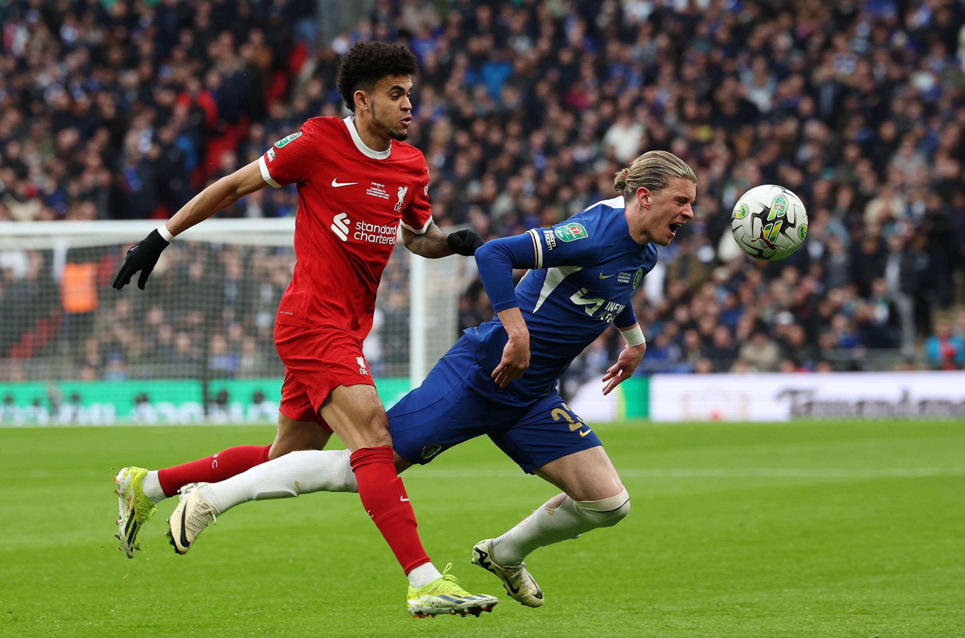 由此可见 由此可见